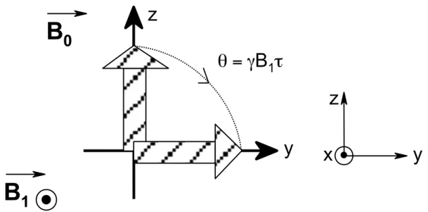 Figure 2.4 Schematic representation of the effect on the longitudinal magnetization vector  M  