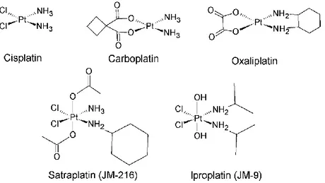 Figure 1.2. Cisplatin, carboplatin and oxaliplatin are square planar Pt II  complexes 