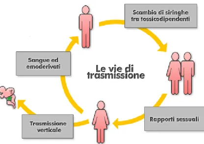 Figura 6:  Modalità di trasmissione dell’infezione HIV 