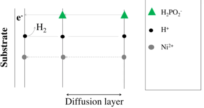 Figure 4.11 shows the diffusion layer with the species present for a Ni-P deposition. 