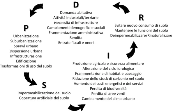 Figura 1 - Modello DPSIR (determinanti, pressioni, stato, impatti, risposte) applicato al consumo di suolo