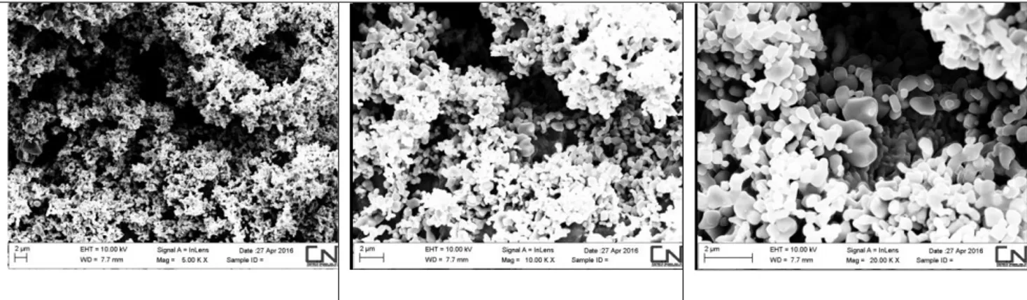 Figura 3.10 immagini SEM del campione di Rutilo-S 5:5 ad ingrandimenti progressivi da sinistra a destra