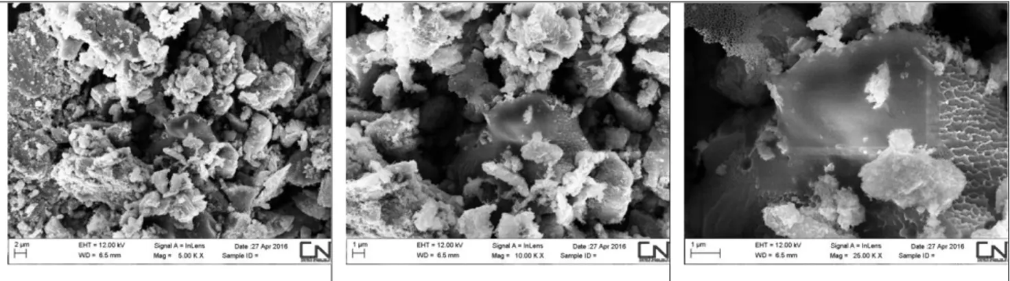 Figura 3.13 Foto SEM del campione di TiO 2 (anatse) Nanotubi-S 7:3 ad ingrandimenti progressivi da sinistra a destra