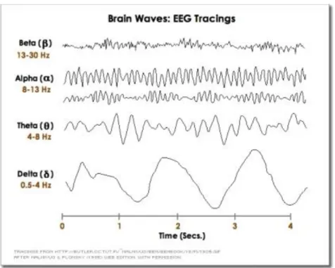 Figure 5. Normal adult brain waves (they are referred to 1 s of duration): delta (&lt; 4 Hz), theta (4-7 Hz), alpha (8-13 Hz), beta 