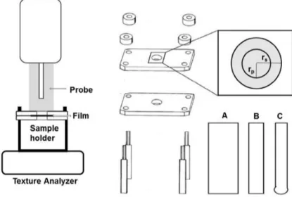 Figure 1.6: Experimental setup (left) and sample holder for the film preparation (right), where rs indicates radius of samples, and r p indicates radius of probe