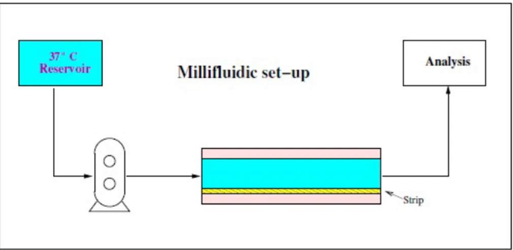 Figure 4.5: Schematic representation of the flow-trough millifluidic device. Instruments of analysis on the outlet flow.