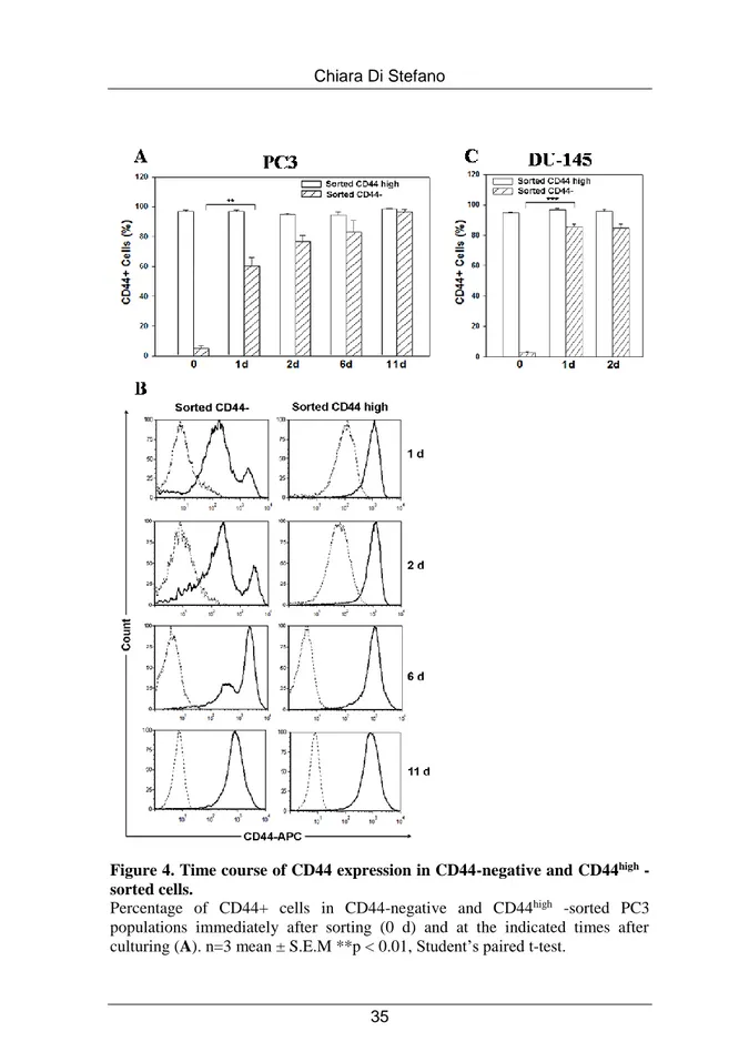 Figure 4. Time course of CD44 expression in CD44-negative and CD44 high  -