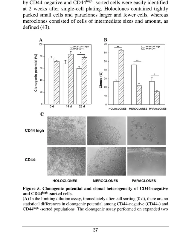 Figure  5.  Clonogenic  potential  and  clonal  heterogeneity  of  CD44-negative  and CD44 high  -sorted cells