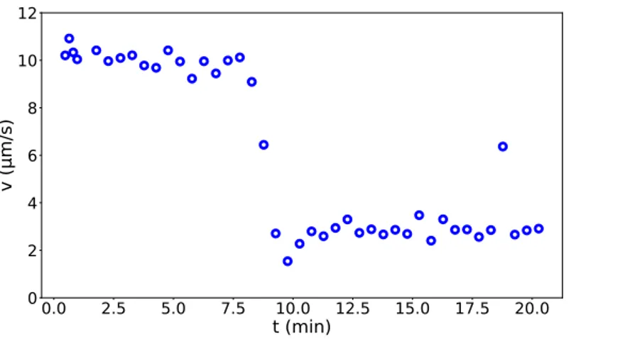 Figure 2.7. Oxygen and the motility transition Average speed of Hulk monitored