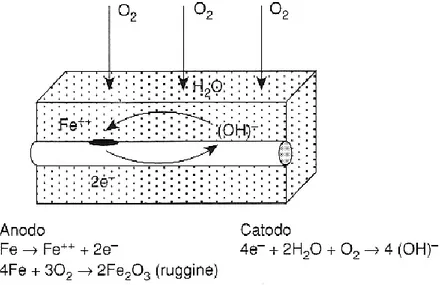Fig. 2.1 - Processi catodici e anodici sulla superficie della barra d’acciaio. 