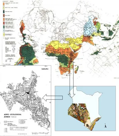 Fig. 4.1 Esempio di zonazione agro-ecologica, da  scala globale, a scala locale (FAO.ISRIC) 