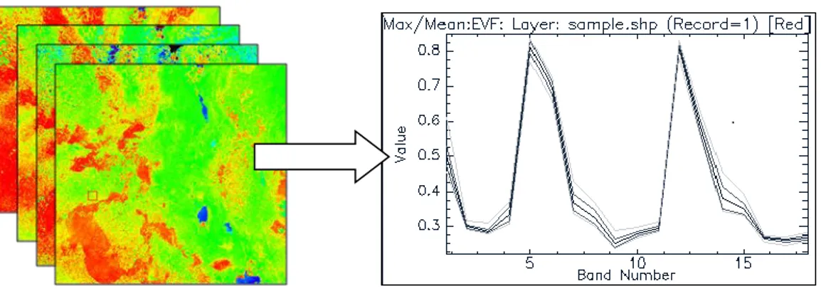 Fig. 4.4 Estrazione del profilo fenologico da una layer multi-temporale di indici NDVI 