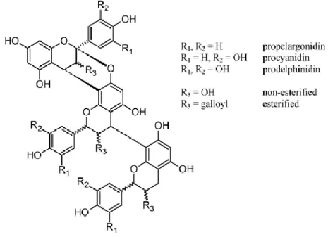 Figure 1.5: Typical structure of an oligomeric PA [27]. 