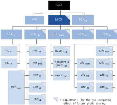 Figure 6: QIS4 SCR Structure. 