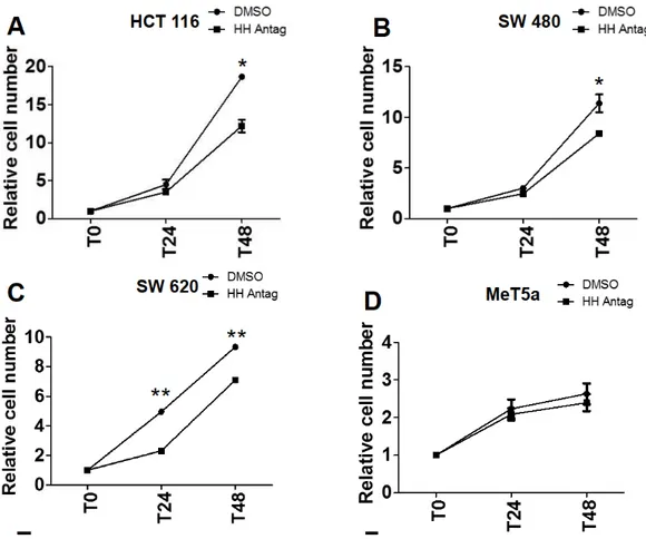 Figura  7.  Effetto  di  Hh  Antag  1uM  sulla  proliferazione  delle  cellule  HCT  116,  SW 480, SW 620, MeT5a 