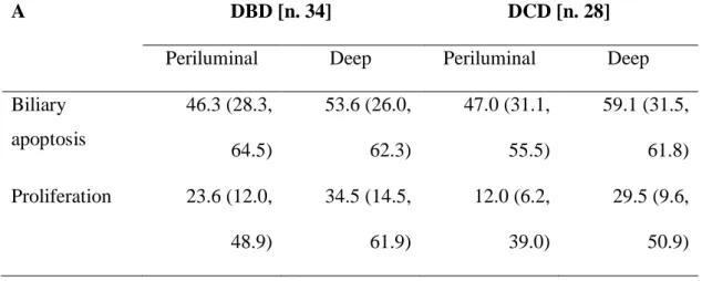 Table 8. Measurement of biliary apoptosis by Tunel assay and proliferation by PCNA  expression in periluminal and deep peribiliary glands in DCD vs DBD liver transplant  patients (A) and in patients with mild and sever histological injury (B) 