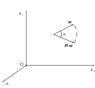 Figura 1.7: L’azione di un operatore di rotazione R su un vettore w: quest’ultimo viene ruotato ma il suo modulo resta invariato