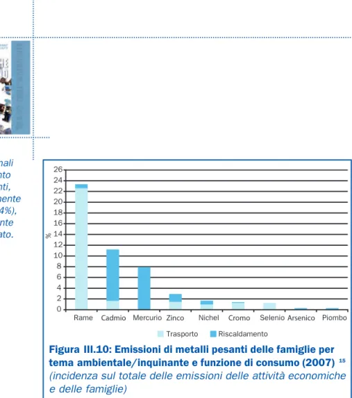 Figura III.10: Emissioni di metalli pesanti delle famiglie per tema ambientale/inquinante e funzione di consumo (2007) 15