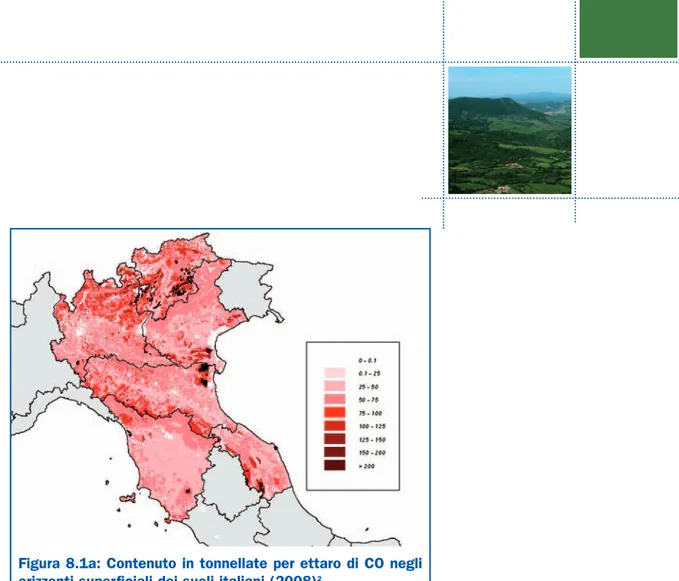 Figura 8.1a: Contenuto in tonnellate per ettaro di CO negli