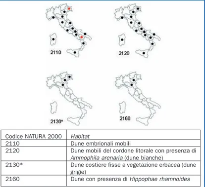 Figura 9.6: Distribuzione degli habitat afferenti alla macro- macro-categoria di riferimento “Dune marittime delle coste 