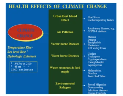 Figura 6.7: Effetti sulla salute associati ai cambiamenti  climatici 12