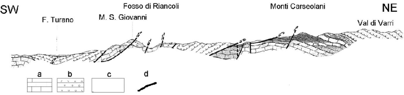 Figura 6 – Sezione geologica schematica che taglia trasversalmente le strutture carbonatiche e  le  successioni  torbiditiche  della  media  valle  del  Fiume  Turano:  a)  Unità  dei  Monti  Carseolani  (rocce  carbonatiche  permeabili),  b)  torbiditi  (