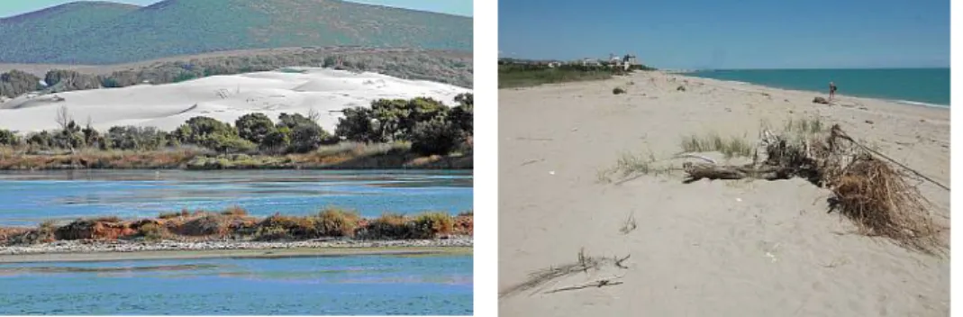 Fig. 4.2 e 4. 3 - Dune e stagni costieri a Porto Pino (Ca) (a sx); Spiaggiamenti vegetali  e forme di deposito eolico (Riserva Naturale Regionale Sentina – San Benedetto del 