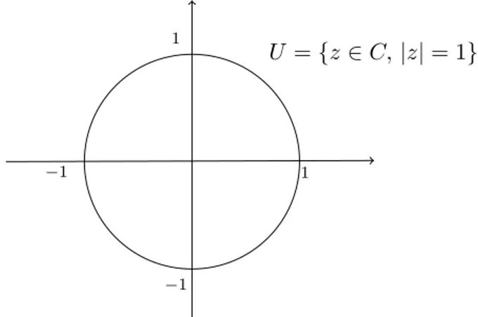 Figura 3: L’insieme U dei numeri complessi unitari.