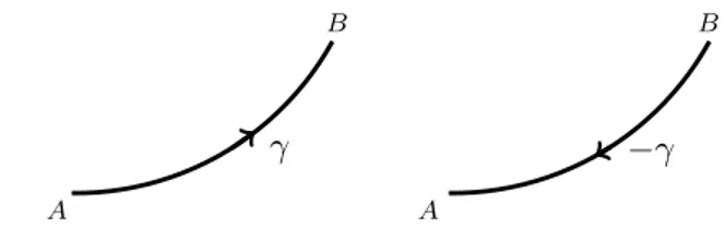 Figura 1: γ e −γ sono lo stesso cammino. Ci` o che cambia ` e il verso di percorrenza.