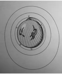Figura 4: Il disegno originale di Newton.