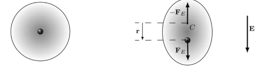 Figura 5: Un atomo con i baricentri di carica che coincidono (non polare) si deforma sotto l’azione del campo elettrico.