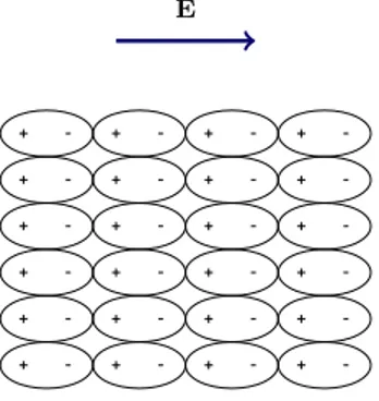 Figura 6: Polarizzazione per orientamento.