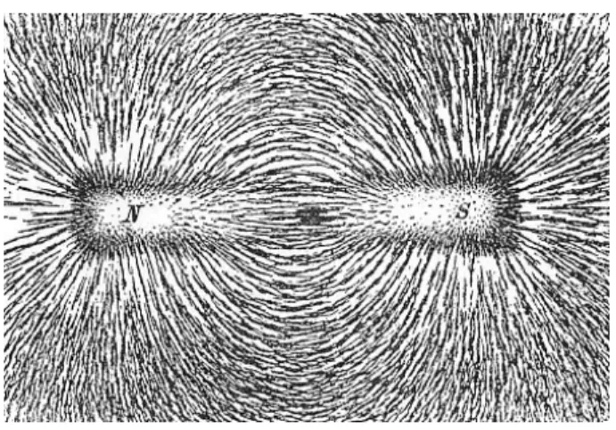 Figura 1: Linee di campo magnetico generate da un magnete.