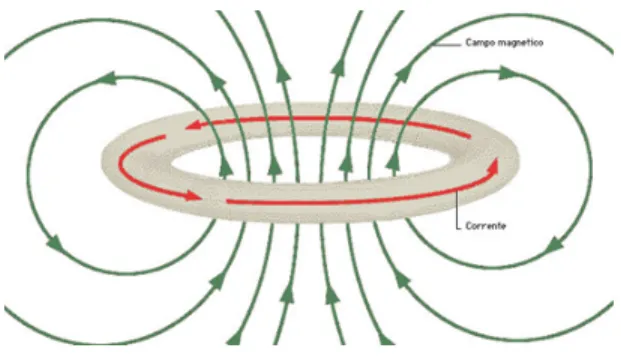 Figura 4: Le linee di forza del campo magnetico generato da una spira percorsa da corrente sono linee chiuse (quelle di colore verde), perpendicolari al piano che contiene la spira stessa.