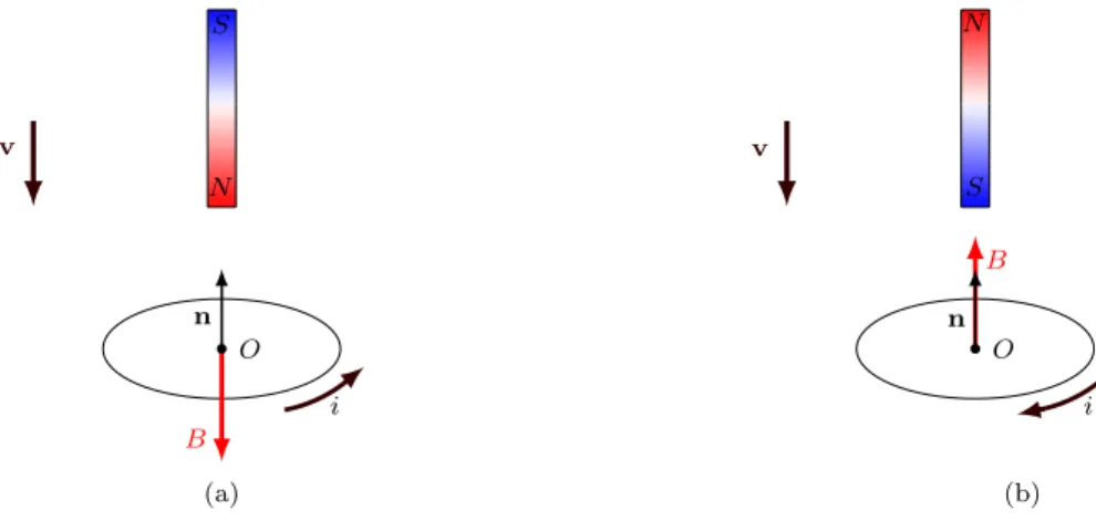 Figura 2: Una barretta magnetica viene avvicinata a una spira muovendola lungo l’asse della spira stessa