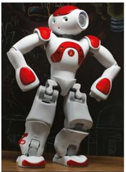 Figura 10 Nao robot 