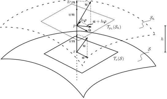 Figure 3.1: Displacement field and its parameters, for a shell-like region modeled over a general middle surface S.