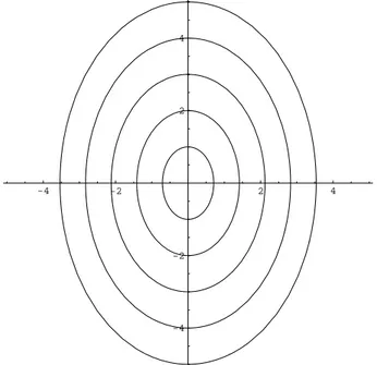 Figura 2.6: Un centro. Notare le traiettorie chiuse corrispondenti ad evoluzioni periodiche.