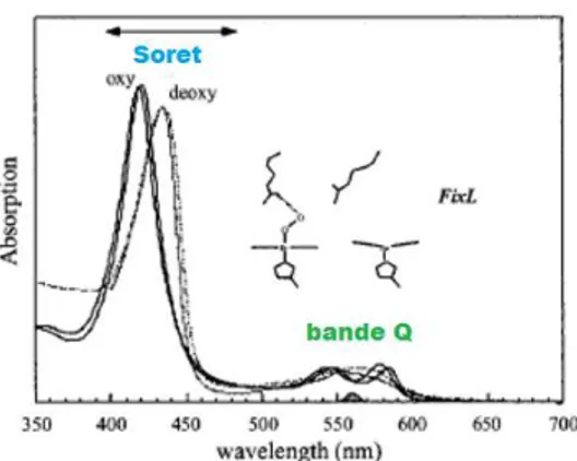 Figura 1.8: Spettri di assorbimento per le forme oxy e deoxy del FixL