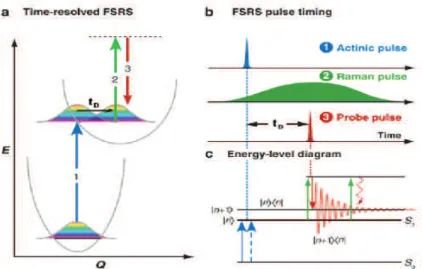 Figure 1.8: Illustration of time-resolved femtosecond stimulated Raman spec- spec-troscopy