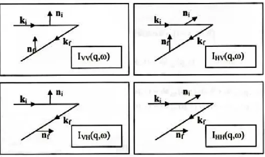 Figura 2.4: Quattro differenti direzioni di polarizzazione sono comunemente usate negli esperimenti di diffusione della luce