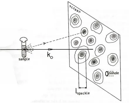 Figura 3.1: Macchie luminose proiettate sullo schermo di raccolta del seg- seg-nale causate dall’interferenza tra i campi diffusi da diverse macromolecole in soluzione
