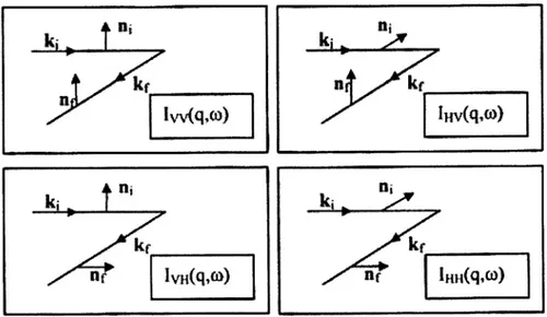 Figura 1.2.4: direzioni di polarizzazione 