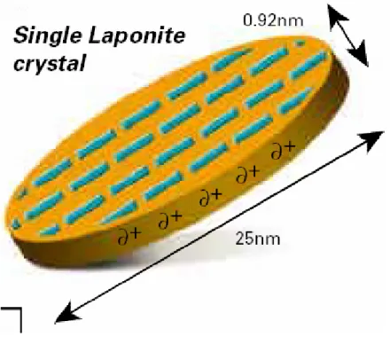 Figura 3.1.1: cristallo di laponite 
