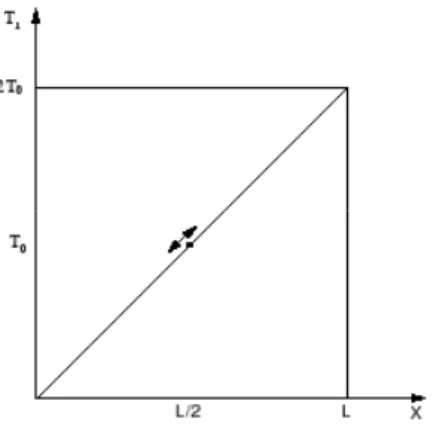 Figura 4.1: Moto del pistone lungo la linea di quasi-equilibrio a partire dallo stato di massima entropia (L/2, T 0 )