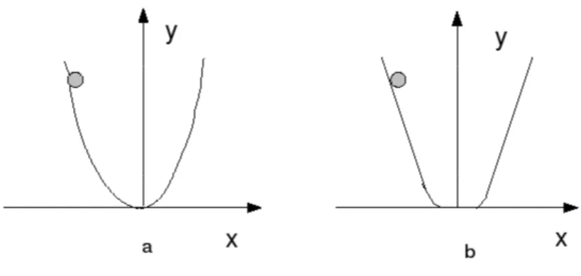 Figura 2.2: Pallina che rotola sotto l’azione di forze di attrito viscoso tutto analogo alle condizioni di equilibrio di un sistema meccanico per cui occorre determinare un minimo della energia potenziale
