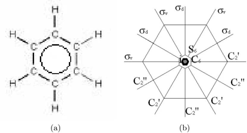 Figura 4.2: Modello del benzene con legame delocalizzato (a) e operatori di simmetria (b).