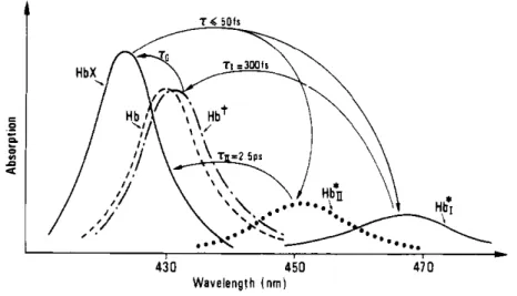 Figura 2.1: Spettri di assorbimento generalizzato delle emoproteine e dei loro fotoprodotti