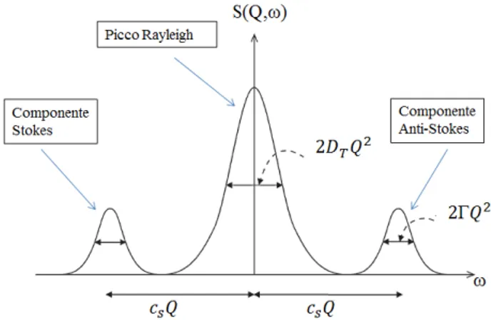 Figura 2.1. Fattore di struttura dinamico S(Q, ω) nel limite idrodinamico.