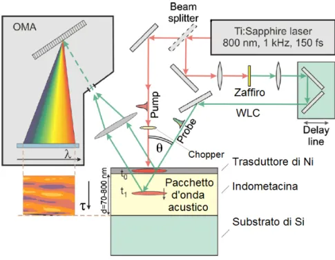 Figura 2.4: Rappresentazione schematica 2-D del setup sperimentale utilizzato in laboratorio per determinare velocit` a del suono e attenuazione acustica nei diversi campioni di indometacina (IMC) [22].